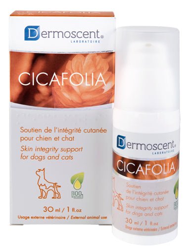 Dermoscent Cicafolia® Serum Gel