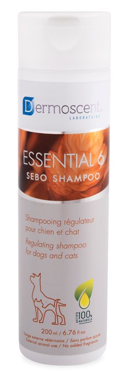 Essential-6-Sebo-Shampoo-MD