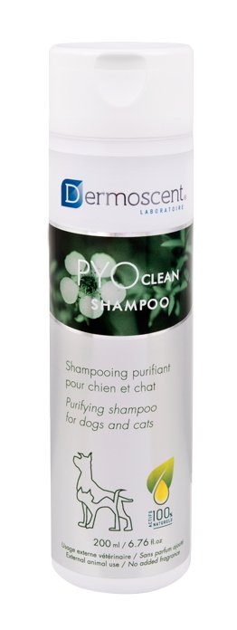 PYOclean-Shampoo-MD