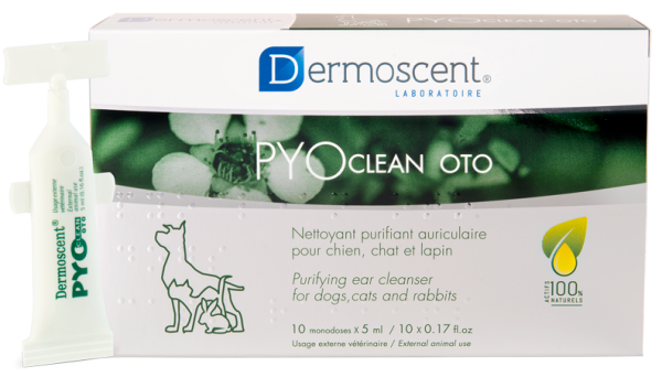 Dermoscent PYOclean OTO beruhigend antibiofilm- und antimikrobiellen Eigenschaften Ohrenschmalz Ablagerungen beseitigen Entzündungen lindern