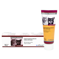 ReConvales® Päppelpaste Lachscreme für Hunde 75g