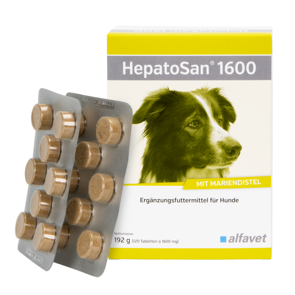 Hepatosan® 1600 Leberunterstützung für Hunde 120 Tbl.