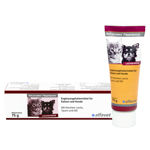 ReConvales® Päppelpaste Lachscreme für Hunde 75g